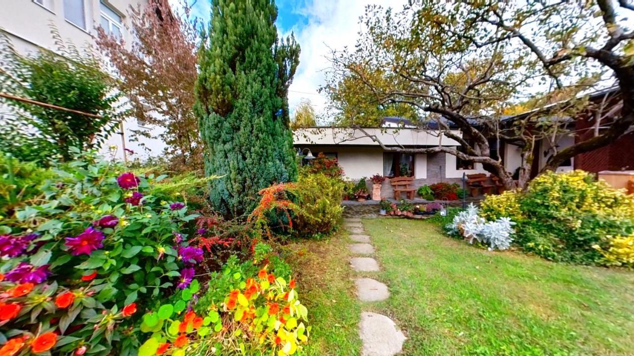 "'Nu Ma Uita" Sovata Exterior foto